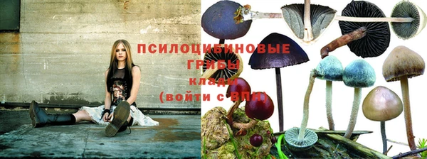 марихуана Магадан