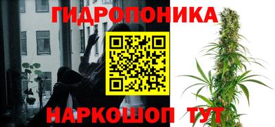 спайс Кулебаки