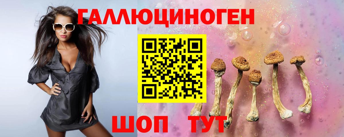 Галлюциногенные грибы прущие грибы Моршанск