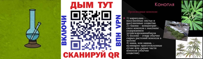 где купить наркотик  Моршанск  Бошки Шишки конопля 